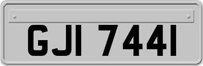GJI7441