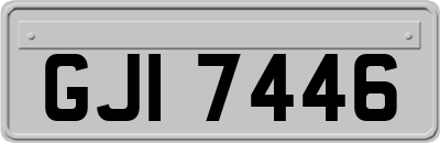GJI7446