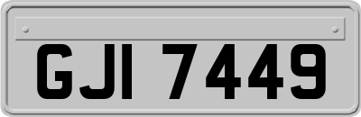GJI7449