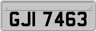 GJI7463