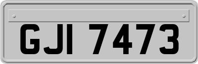 GJI7473