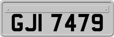 GJI7479