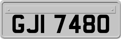 GJI7480
