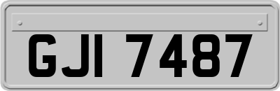 GJI7487