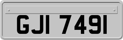 GJI7491