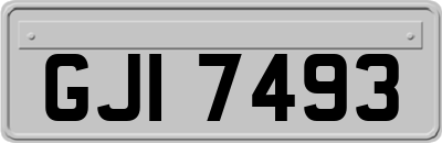 GJI7493