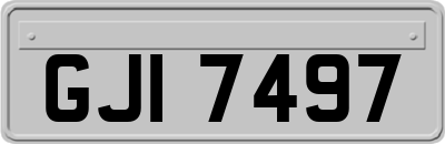 GJI7497