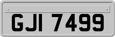GJI7499