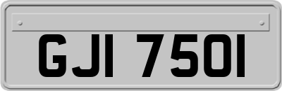 GJI7501