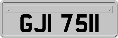 GJI7511