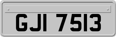 GJI7513