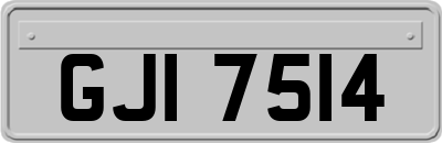 GJI7514