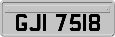 GJI7518