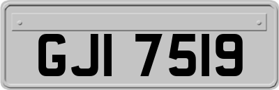 GJI7519