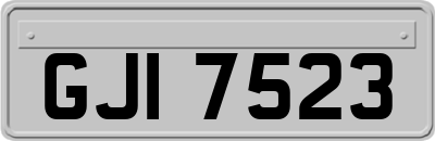 GJI7523