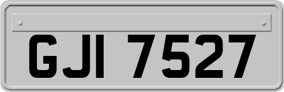 GJI7527