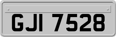 GJI7528