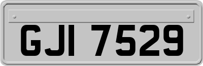GJI7529