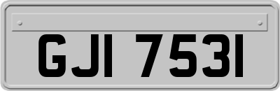GJI7531
