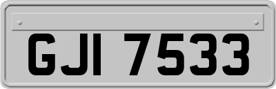 GJI7533