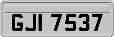 GJI7537