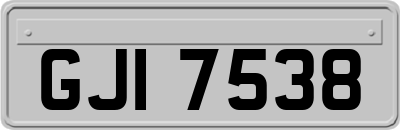 GJI7538