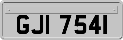 GJI7541