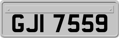 GJI7559