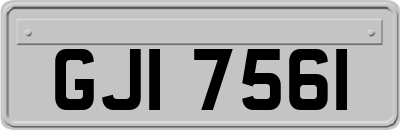 GJI7561