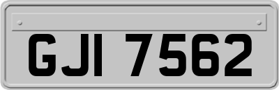GJI7562
