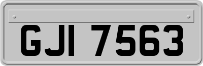 GJI7563