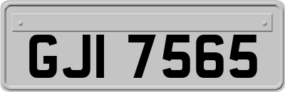 GJI7565