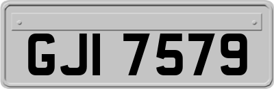 GJI7579