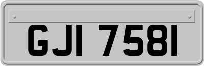 GJI7581