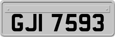 GJI7593