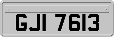 GJI7613