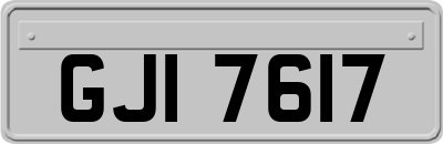 GJI7617