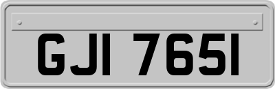 GJI7651