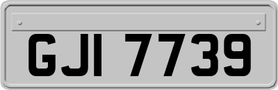 GJI7739