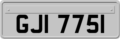 GJI7751