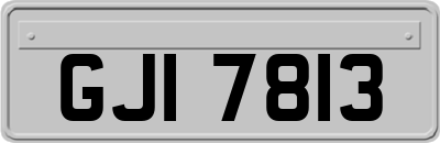 GJI7813
