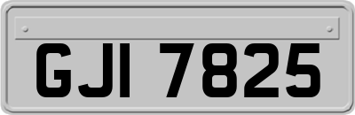 GJI7825
