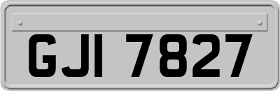 GJI7827