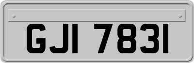GJI7831