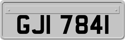 GJI7841