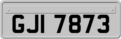 GJI7873