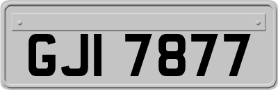 GJI7877