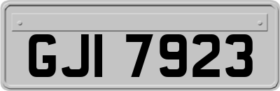 GJI7923