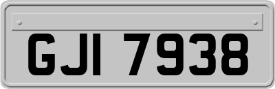 GJI7938