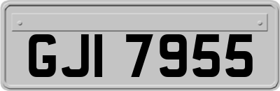 GJI7955